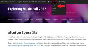 Screenshot of our course site homepage. The "post" button in the black Commons toolbar at the top of the screen has been clicked, displaying a drop down list of options. The "post" option is highlighed with a red arrow.